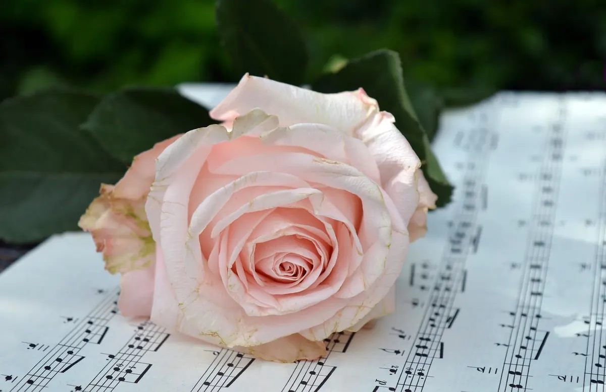 Hymn Sing vs. Contemporary Worship: Choosing Music for a Small Chapel Service
